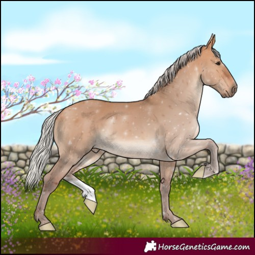 Horse Color:Silver Bay Dun