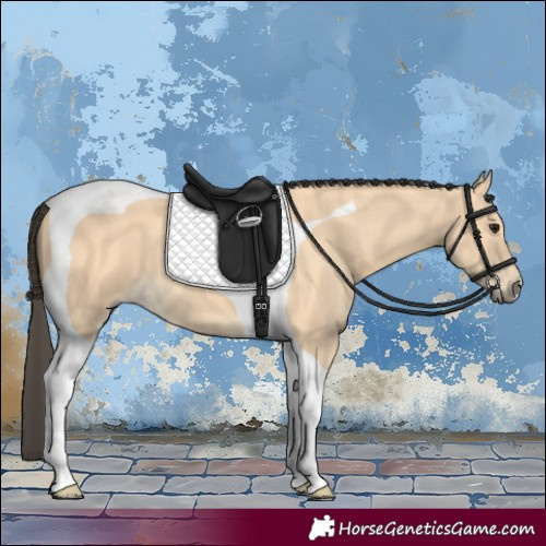 Horse Color:Buckskin Tobiano 