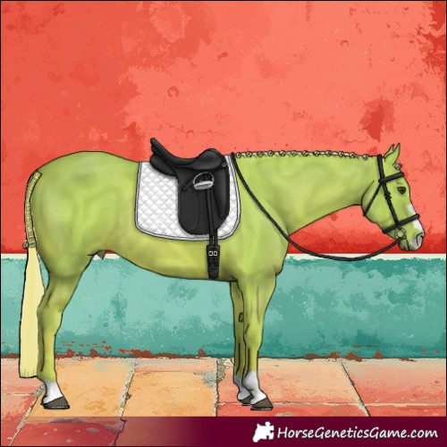 Horse Color:Watercolor Chestnut Rabicano 