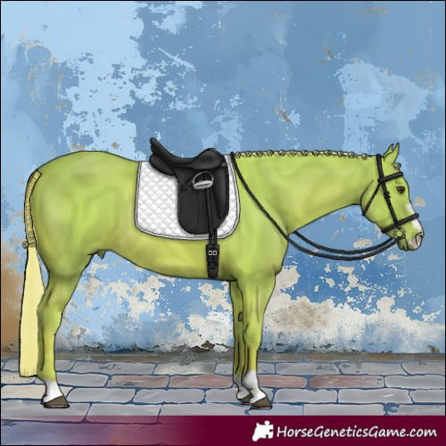 Horse Color:Watercolor Chestnut Rabicano 