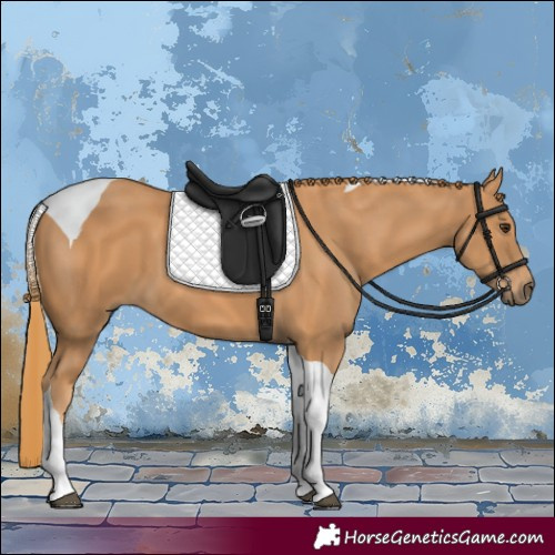 Horse Color:Chestnut Tobiano 