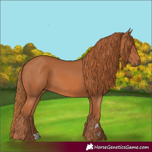Horse Color:Chestnut 