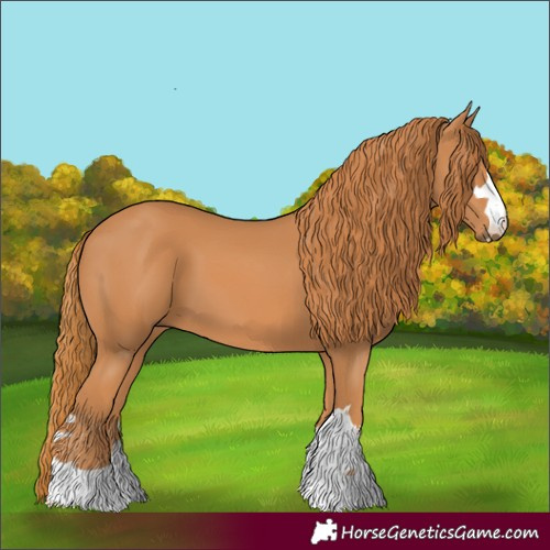 Horse Color:Chestnut 