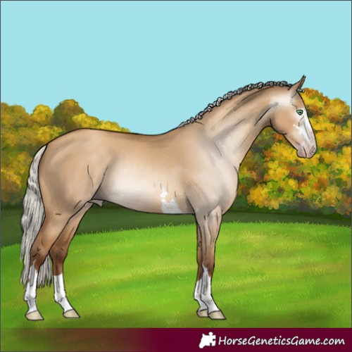 Horse Color:Gray Silver Amber Champagne Dun 