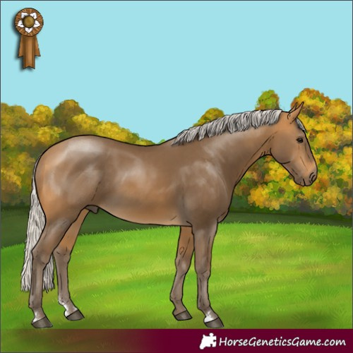 Horse Color:Silver Buckskin Rabicano 