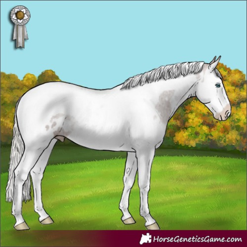 Horse Color:White Spotted Silver Bay Splash Tobiano 