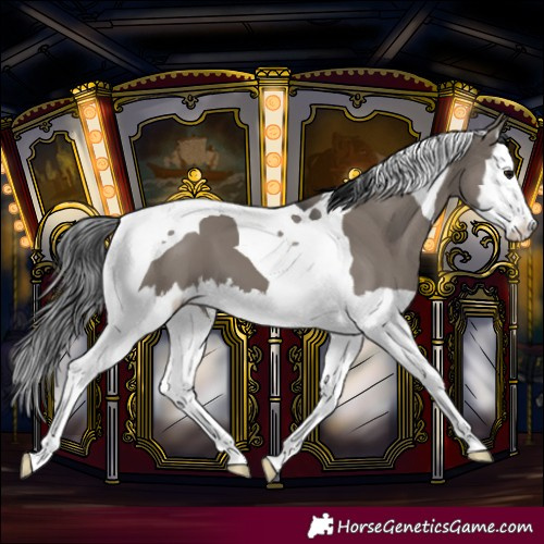 Horse Color:Grullo Splash Tobiano 