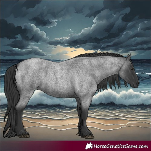 Horse Color:Blue Roan 