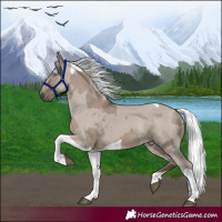 Horse Color:Silver Grullo Merle Tobiano 