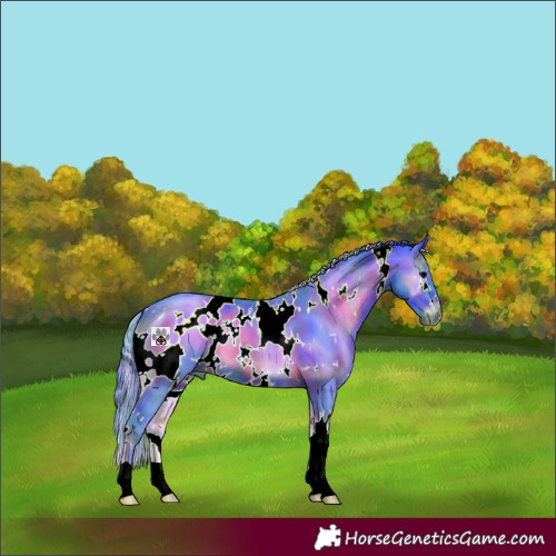 Horse Color:Nacre Watercolor White Spotted Blue Onyx 