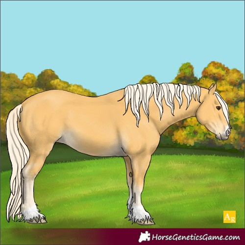 Horse Color:Palomino