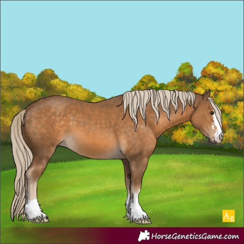 Horse Color:Chocolate Palomino