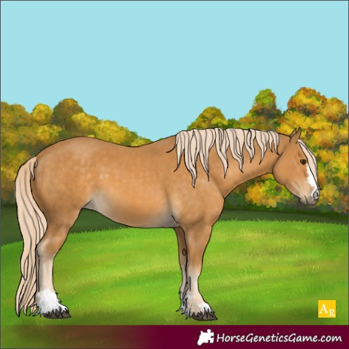 Horse Color:Palomino