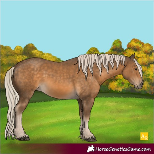 Horse Color:Chocolate Palomino