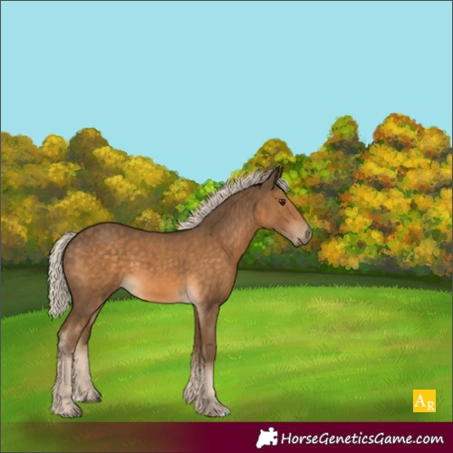Horse Color:Chocolate Palomino