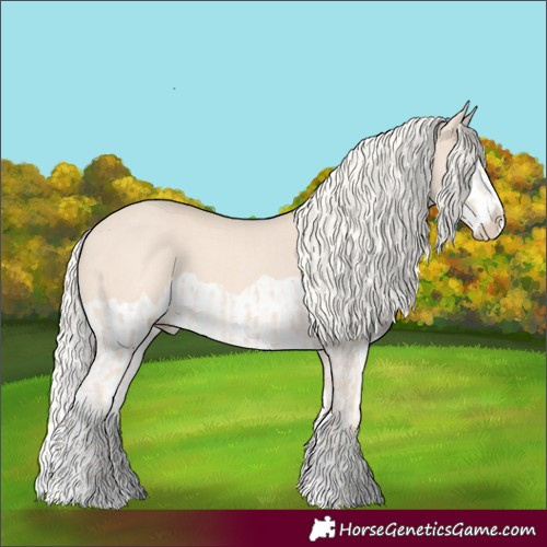 Horse Color:Cremello Splash and Cremello Splash