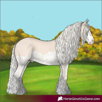 Horse Color:Cremello Splash  and Cremello Splash 
