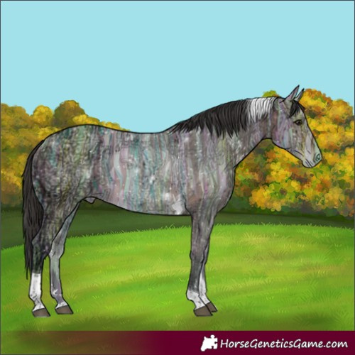 Horse Color:Bay Ice Tobiano 