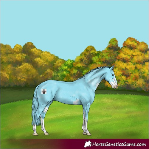 Horse Color:Watercolor Black Sabino 
