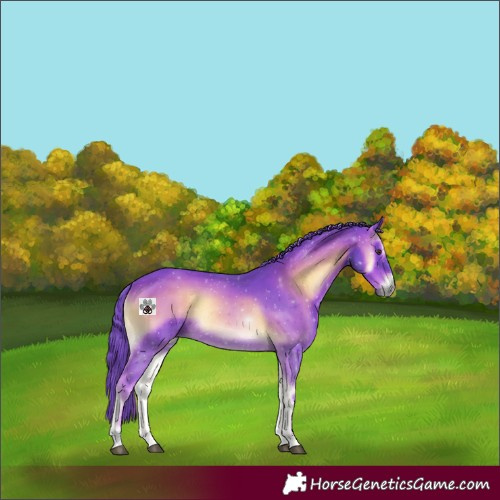 Horse Color:Watercolor Liver Red Onyx Rabicano 