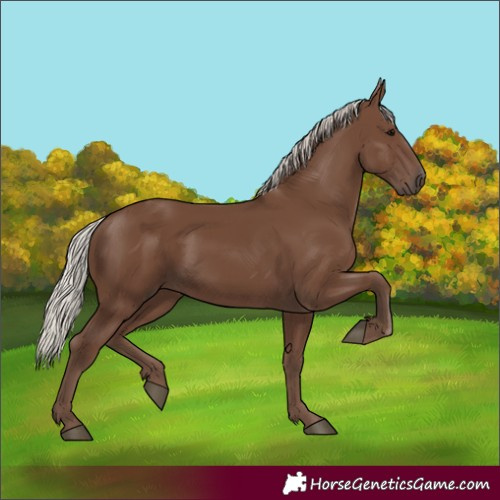 Horse Color:Silver Black 
