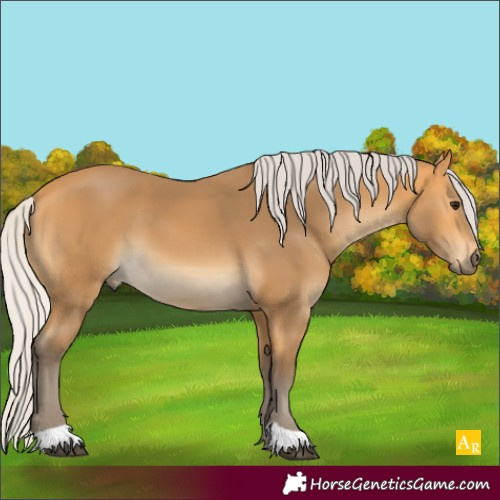 Horse Color:Silver Buckskin 