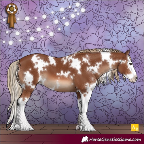 Horse Color:White Spotted Chestnut Splash