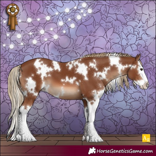 Horse Color:White Spotted Chestnut Splash 