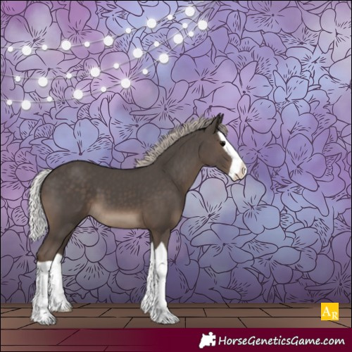Horse Color:Silver Black Splash 