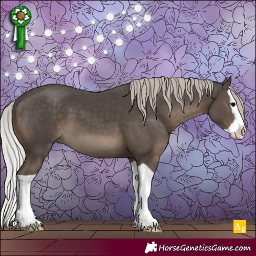 Horse Color:Silver Black Splash