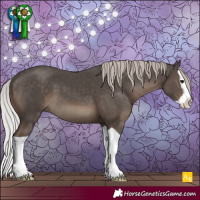Horse Color:Silver Black Splash 
