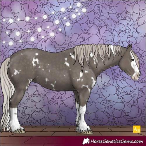 Horse Color:White Spotted Silver Black Splash 