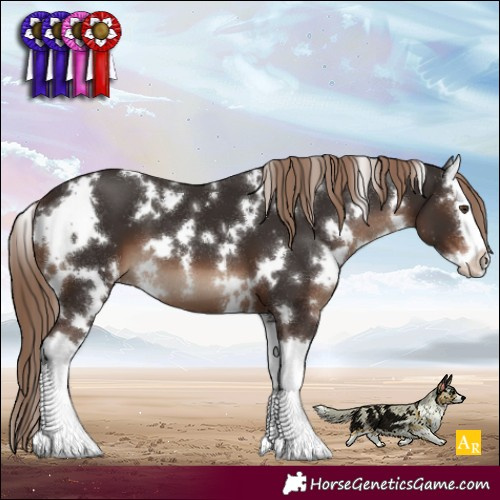Horse Color:White Spotted Liver Chestnut Splash