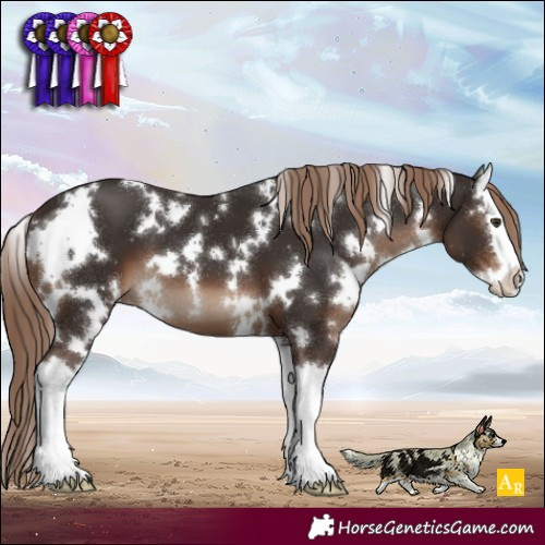 Horse Color:White Spotted Liver Chestnut Splash 