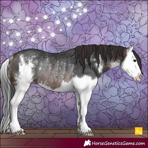 Horse Color:Brown Sabino Splash Rabicano