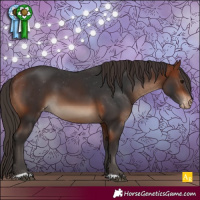 Horse Color:Bay Varnish 