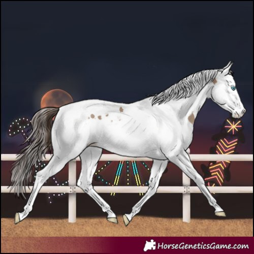 Horse Color:Classic Champagne Splash Tobiano