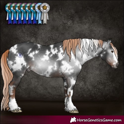 Horse Color:Gray White Spotted Liver Chestnut 