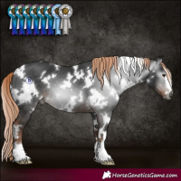 Horse Color:Gray White Spotted Liver Chestnut