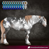 Horse Color:Gray White Spotted Liver Chestnut 