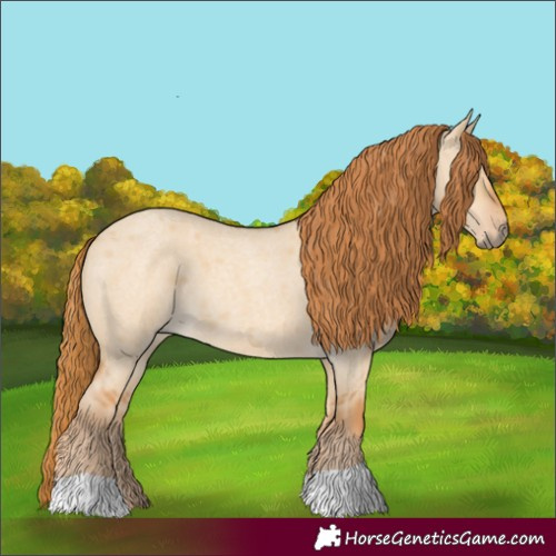 Horse Color:Red Dun Roan 