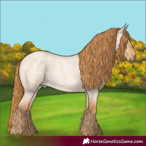 Horse Color:Red Dun Roan 