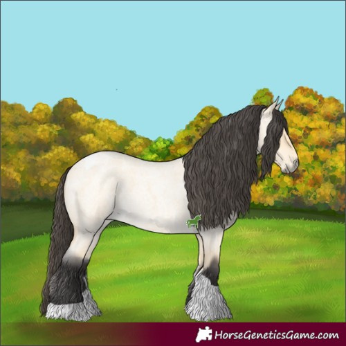 Horse Color:Buckskin Roan Dun Tobiano