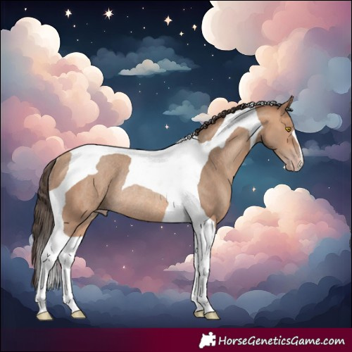 Horse Color:Amber Champagne Tobiano Rabicano 