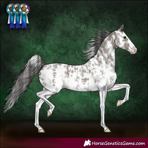 Horse Color:Grullo Sabino Splash Blanket Rabicano