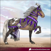 Horse Color:Silver Smoky Black Appaloosa 