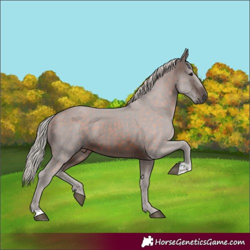 Horse Color:Silver Brown 