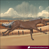 Horse Color:Silver Black