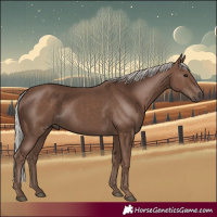 Horse Color:Silver Black 