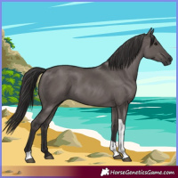 Horse Color:Smoky Grullo Tobiano 